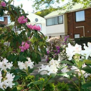 Hotel Heriot Lane City Apartments cazare Dunedin