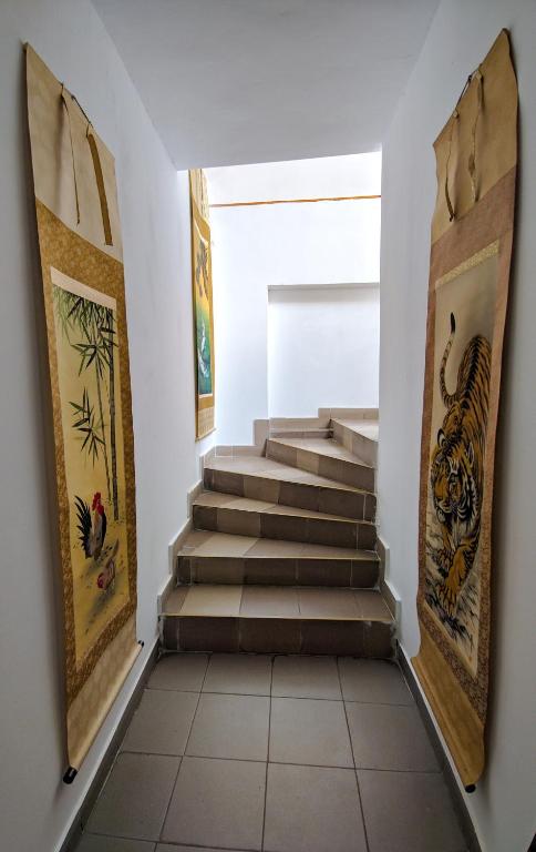 Pension Casa Samurai