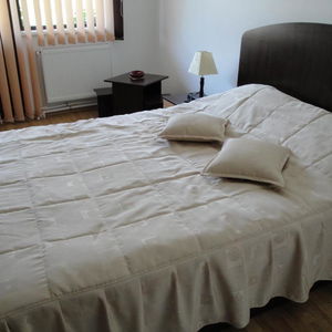 Hotel Pension Roua cazare Sinaia