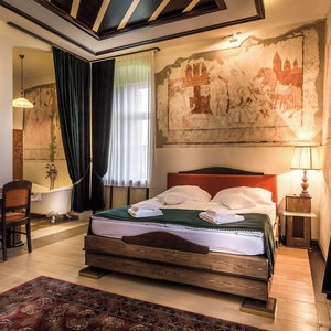 Hotel Castle Hotel Daniel cazare Talisoara