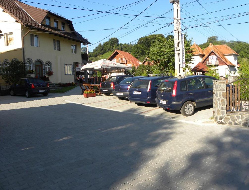Casa Enescu