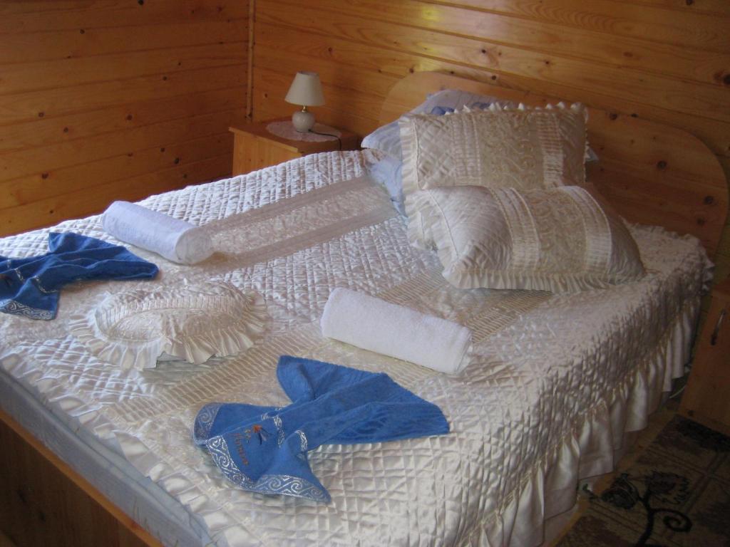 Pension Bran Ioana& SPA