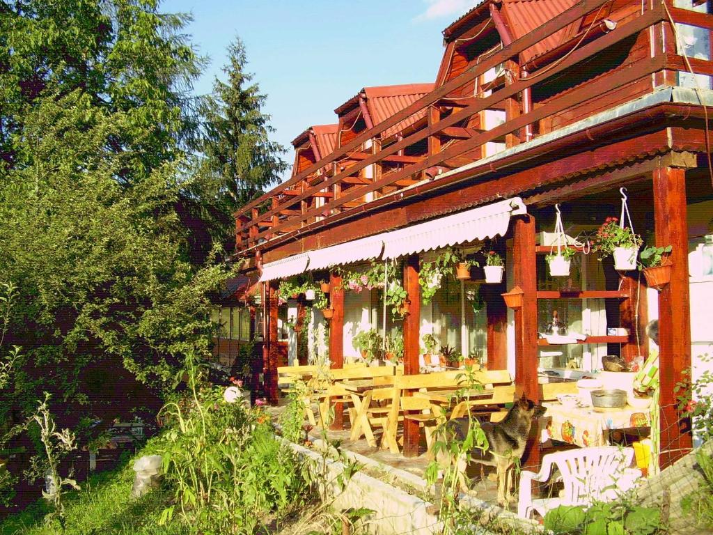 Hotel Pension Bran Ioana& SPA