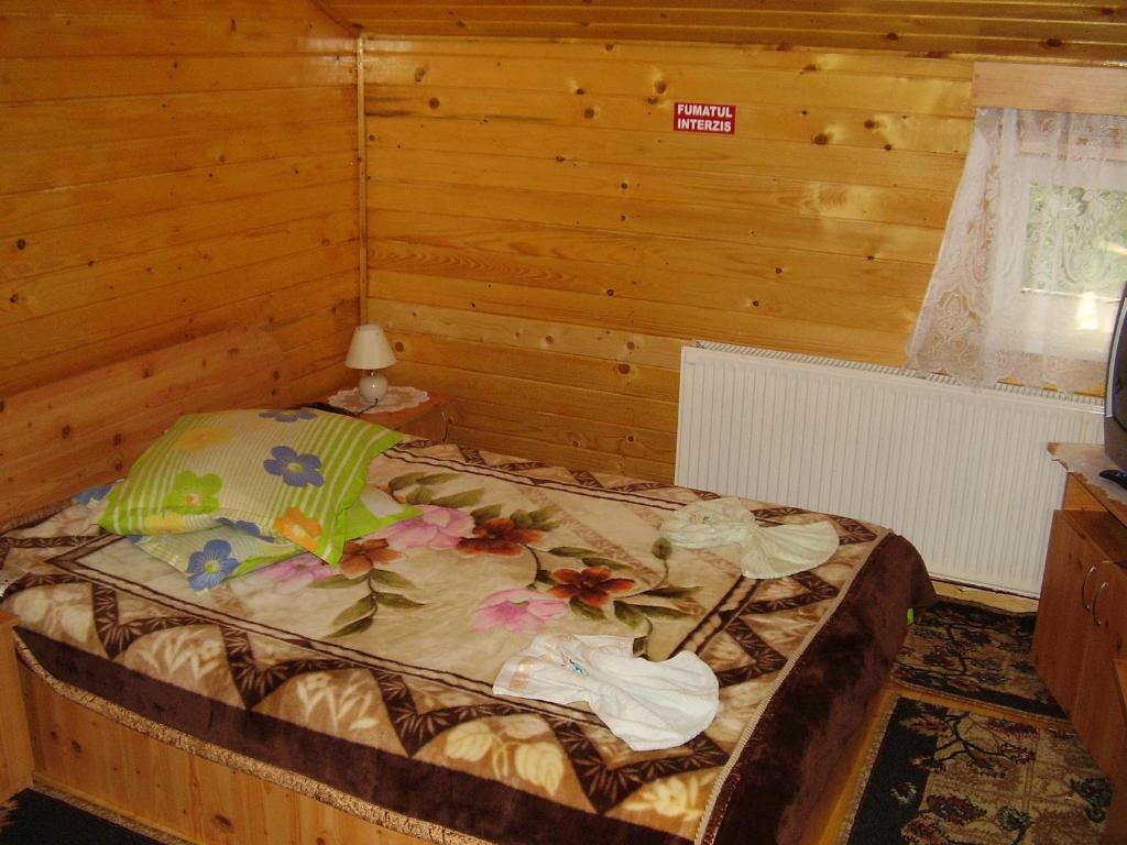 Pension Bran Ioana& SPA