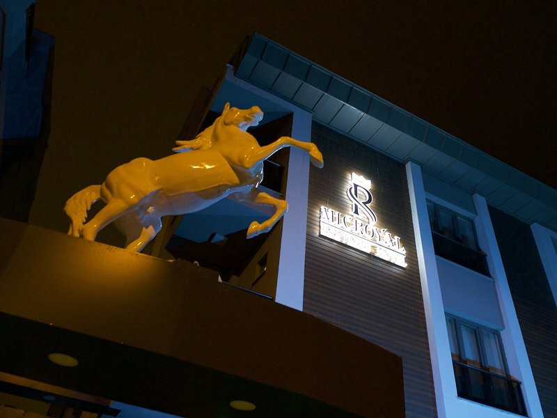 Hotel Microyal Hotel