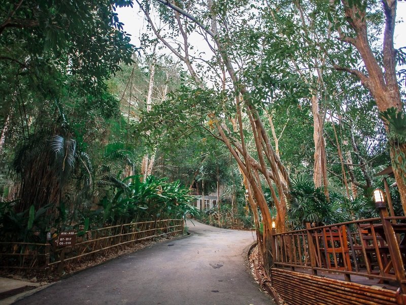 The Vatika Resort And Spa