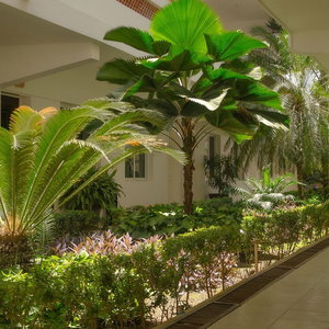 Hotel Hotel Casa Blanca cazare Chetumal