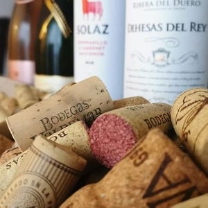 Hotel B&B Villa Manana cazare Mijas