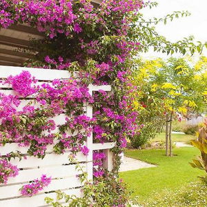 Hotel Ammouda Villas cazare Ormos Panagias