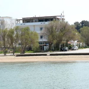 Hotel Ammos Hotel cazare Agia Triada
