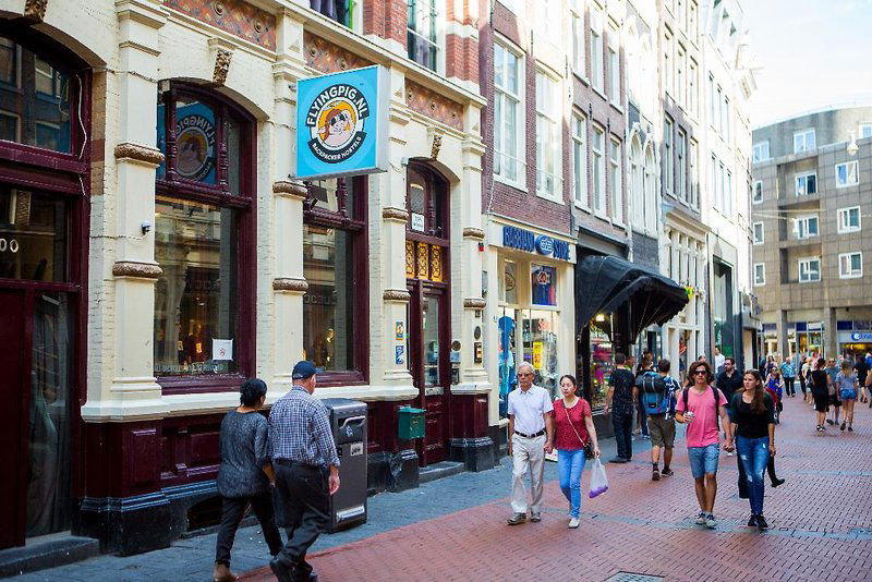 Hotel The Flying Pig Downtown Youth Hostel