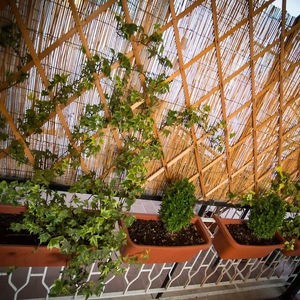 Hotel Bed & Breakfast Villa Adriana cazare Tivoli