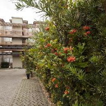 Hotel Pampulha Flat Hotel cazare Belo Horizonte