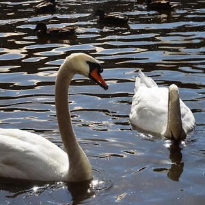 Hotel Tewitfield Marina cazare Carnforth