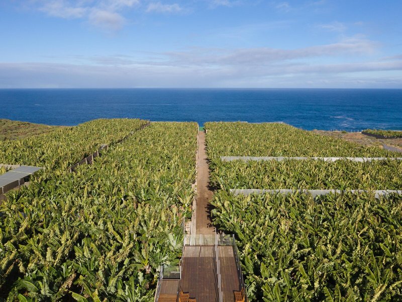 dal travel Hacienda La Dehesa