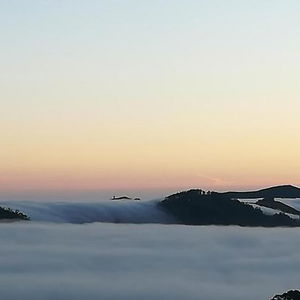 Hotel Finca Rural La Casa Verde Tenerife cazare La Laguna