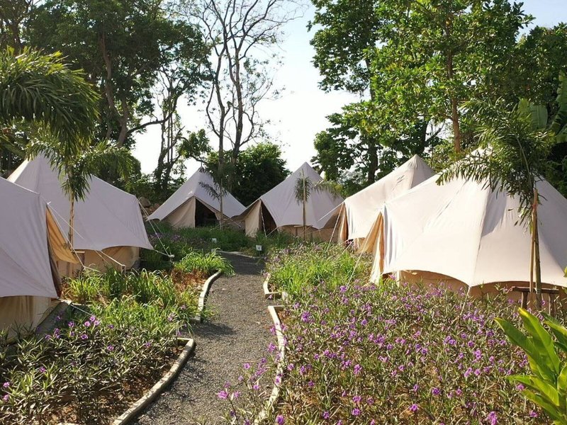 Roost Glamping
