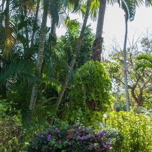 Hotel Ya Nui Resort cazare Rawai