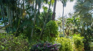 Hotel Ya Nui Resort cazare Rawai