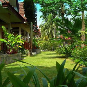 Sejur Palm Village vacanta Rawai