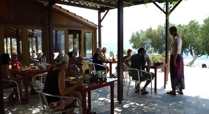 Hotel Alexander Beach