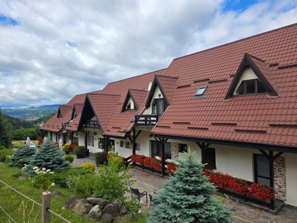 Hotel Contele Vladimir