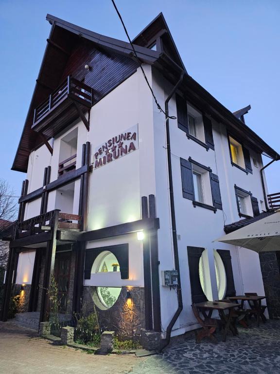 Hotel Pensiunea Miruna
