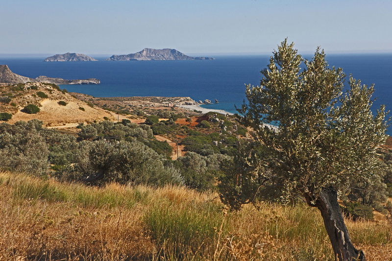 Hotel Vrachos Villas