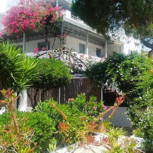 Sejur Villa Arni vacanta Andros