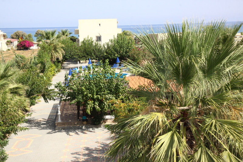 Enorme Armonia Beach Resort