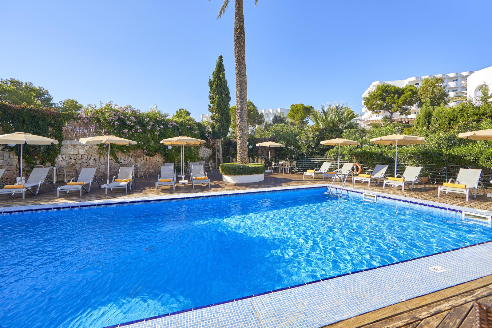 dal travel Gavimar Cala Gran Costa Del Sur