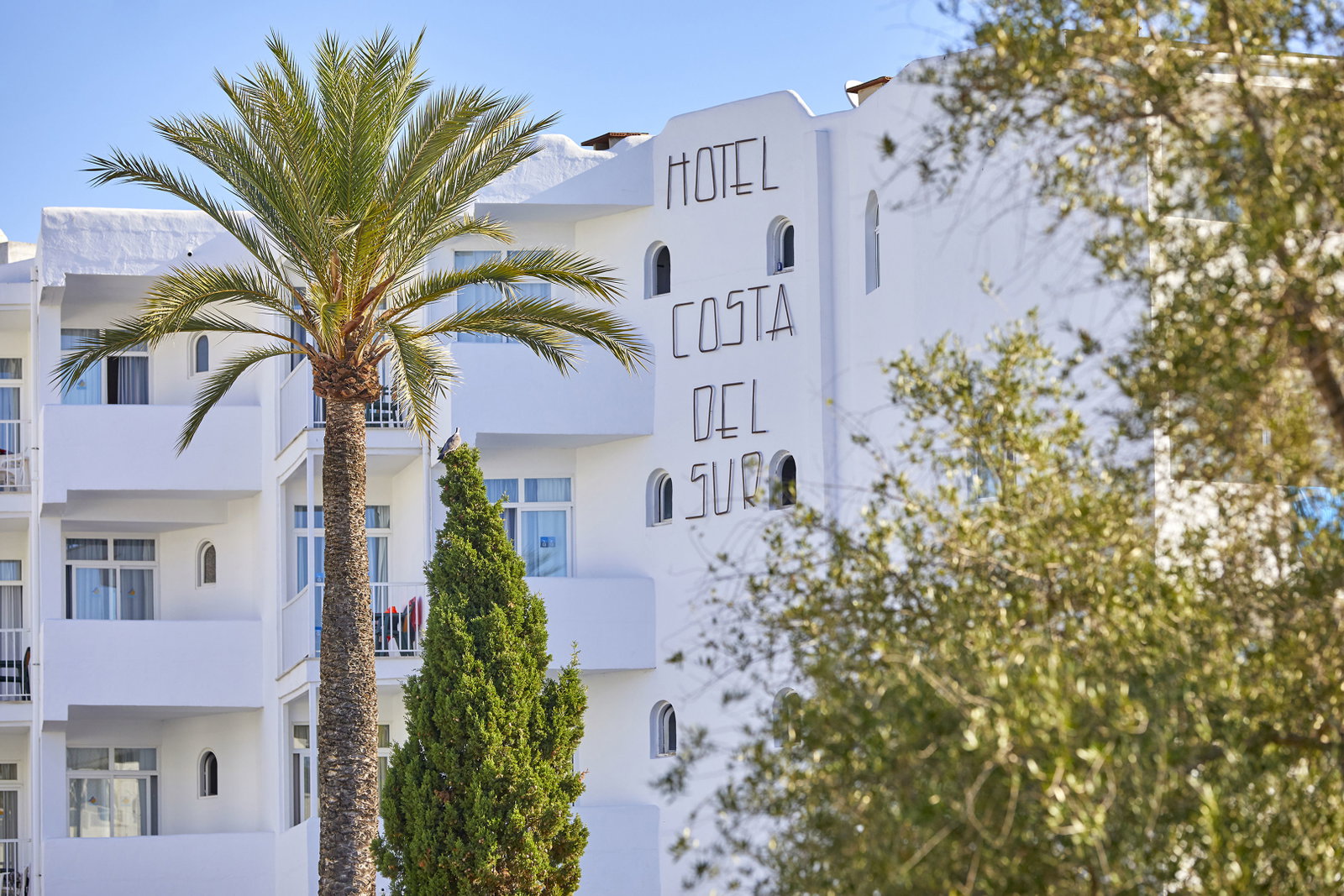 dal travel Gavimar Cala Gran Costa Del Sur
