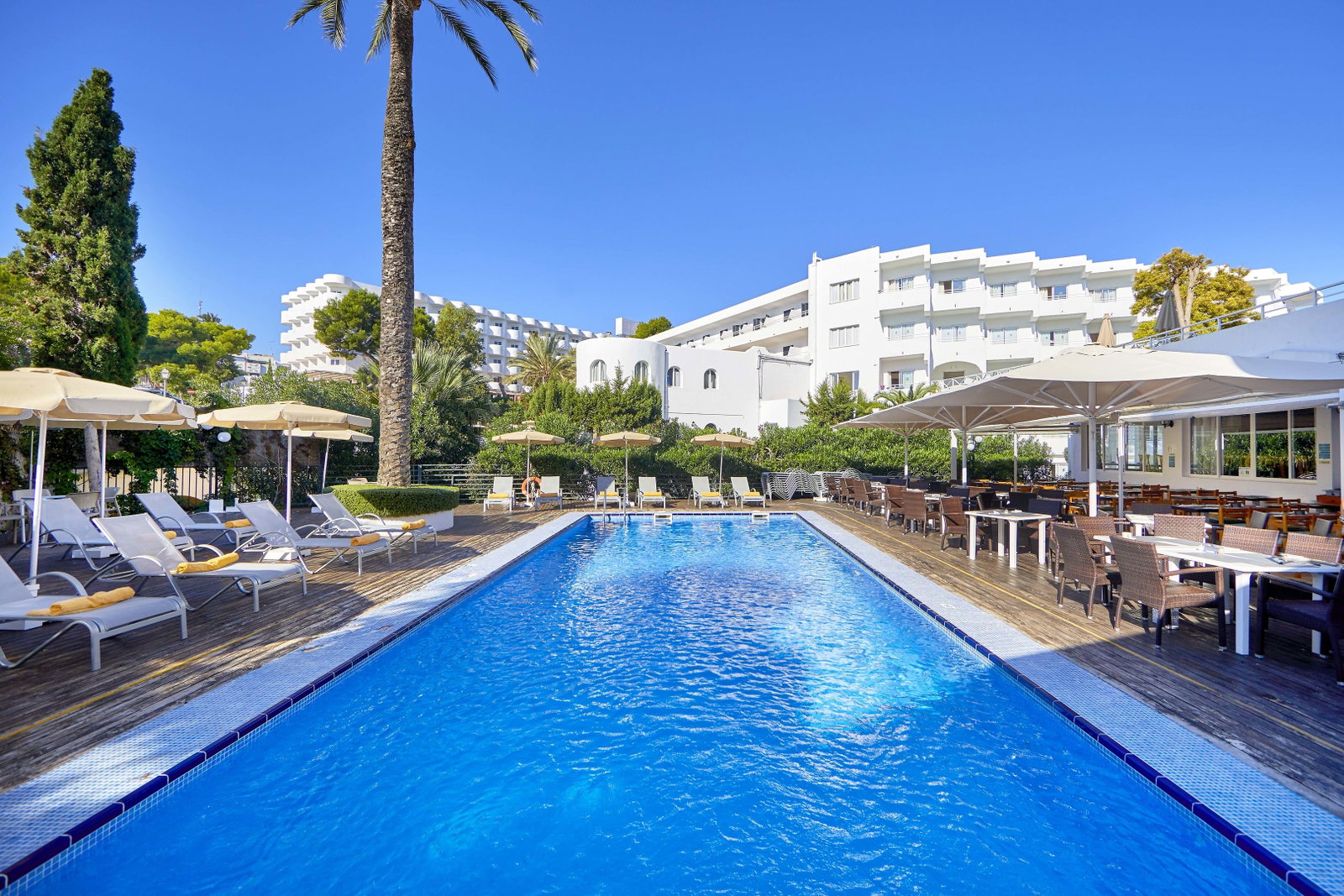 dal travel Gavimar Cala Gran Costa Del Sur