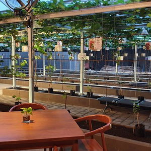 Hotel The Banyumas Villa cazare Denpasar