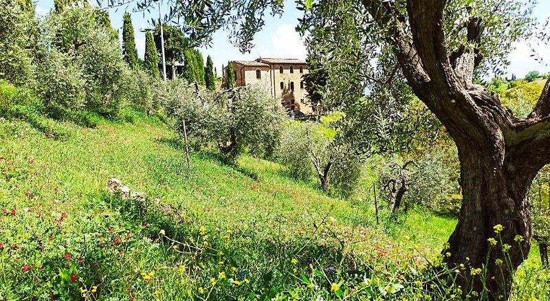 Rocca Degli Olivi