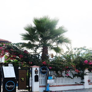 Hotel Egehan Butik Hotel Dalyan cazare Ortaca