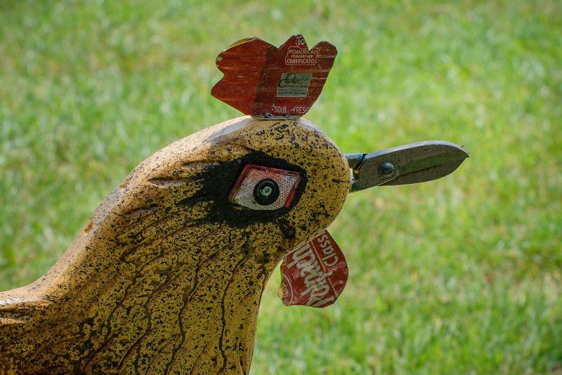 Hotel Rooster Guesthouse Rooms