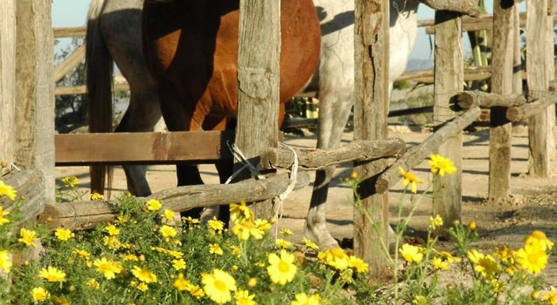 Agriturismo Baglio San Nicola