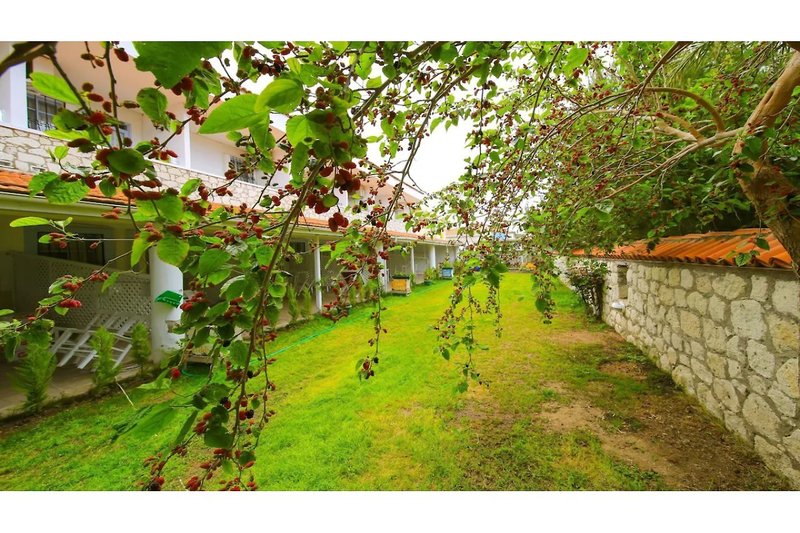 Alasonya Otel Alacati By Lamira