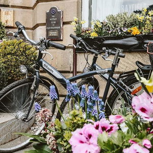 Hotel Murrayfield Hotel & Lodge cazare Edinburgh