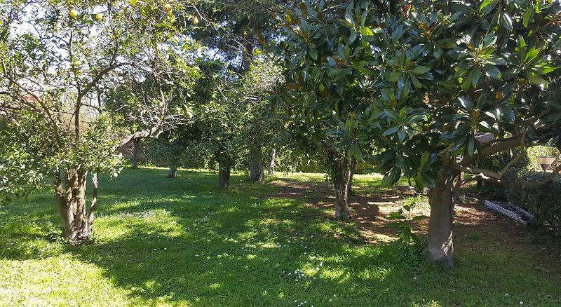 Hotel Lemon Rooms Sorrento