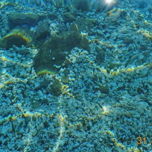 Hotel Apartments Zoumperi cazare Nea Makri