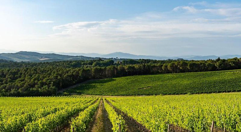 Hotel Tenuta Poggio Ai Mandorli