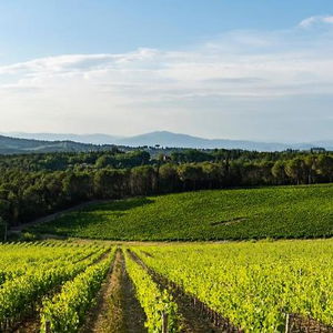 Hotel Tenuta Poggio Ai Mandorli cazare Greve