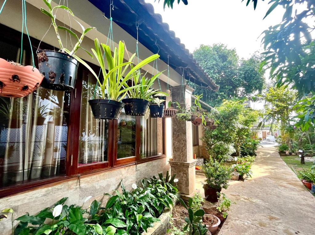 Nhat Huy Bungalow