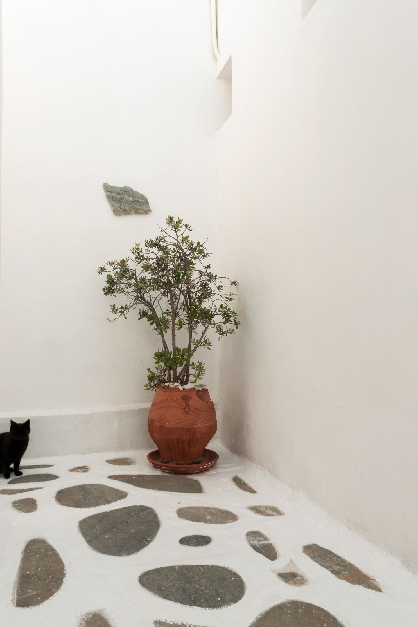 Andriani's Guest House