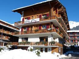 Hotel Hotel Ermitage
