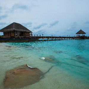 Hotel Taj Coral Reef Resort & Spa, Maldives cazare Nord Male Atoll