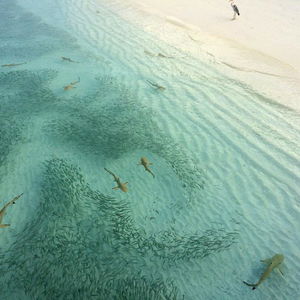 Hotel Aquzz Inn cazare Maafushi