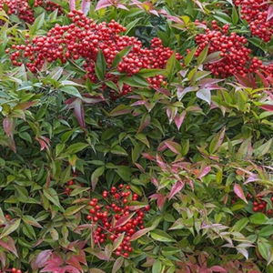 Sejur Bastion Hotel Budapest vacanta Budapest